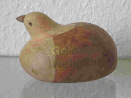 Goldenes_Rebhuhn_klein